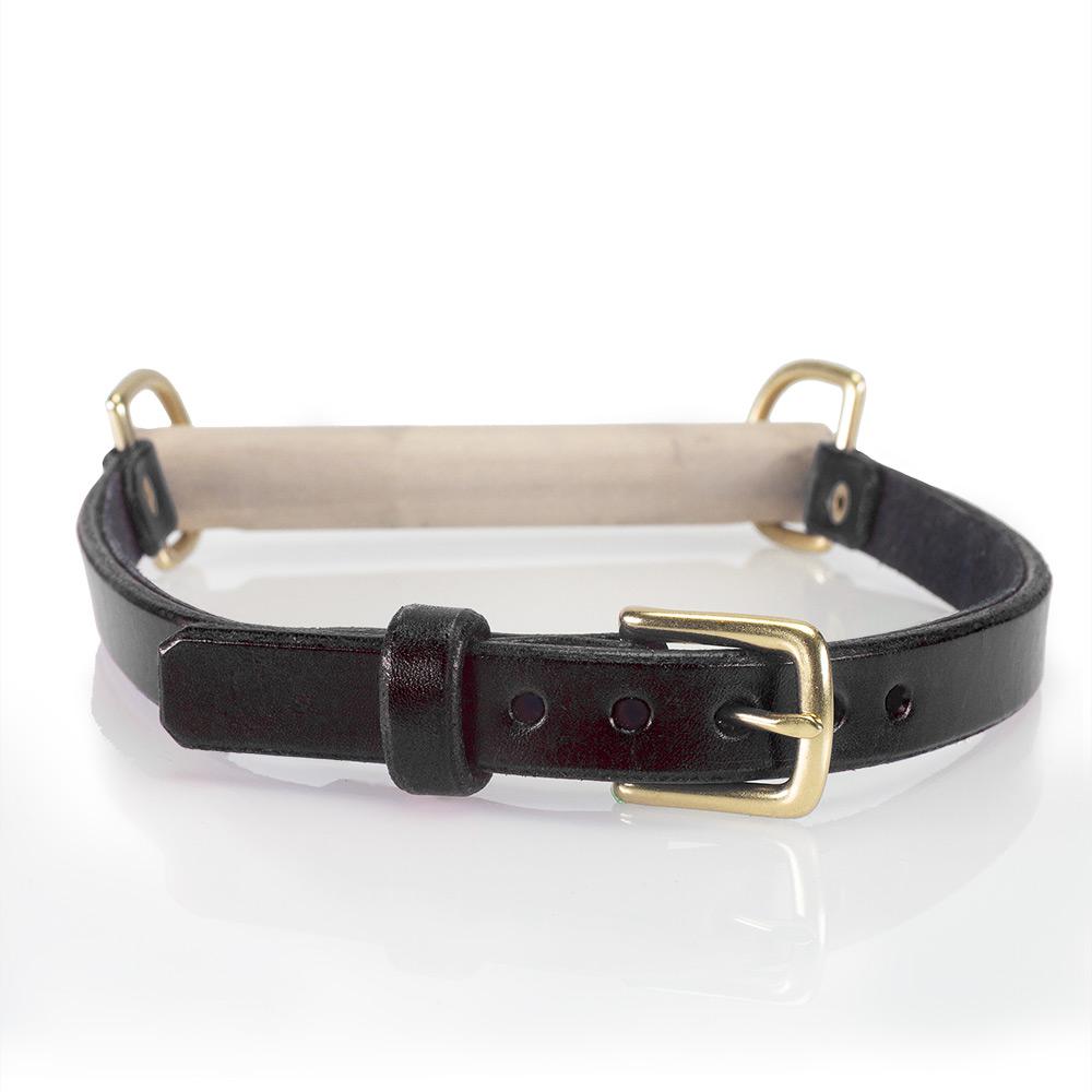 BDSM Bit Gag Leather Collar with Poplar Bit | LVX Supply &amp; Co. 